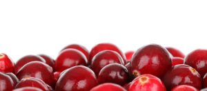 Tranbär - bra för hälsan